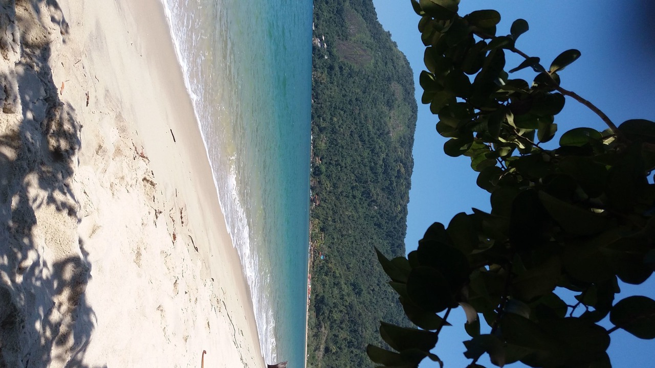 Photo of Others in Pontal