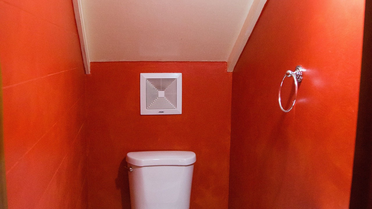 Photo of Bathroom in Mona