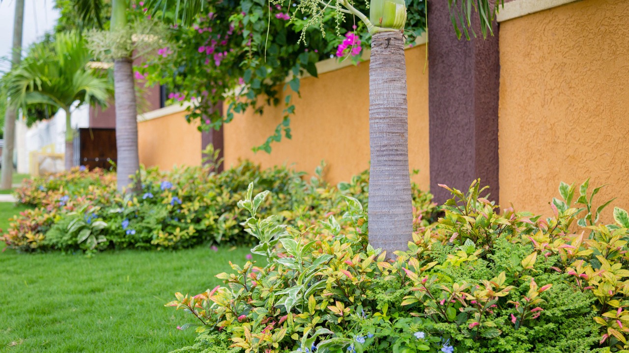Photo of Outdoor in Molynes Gardens
