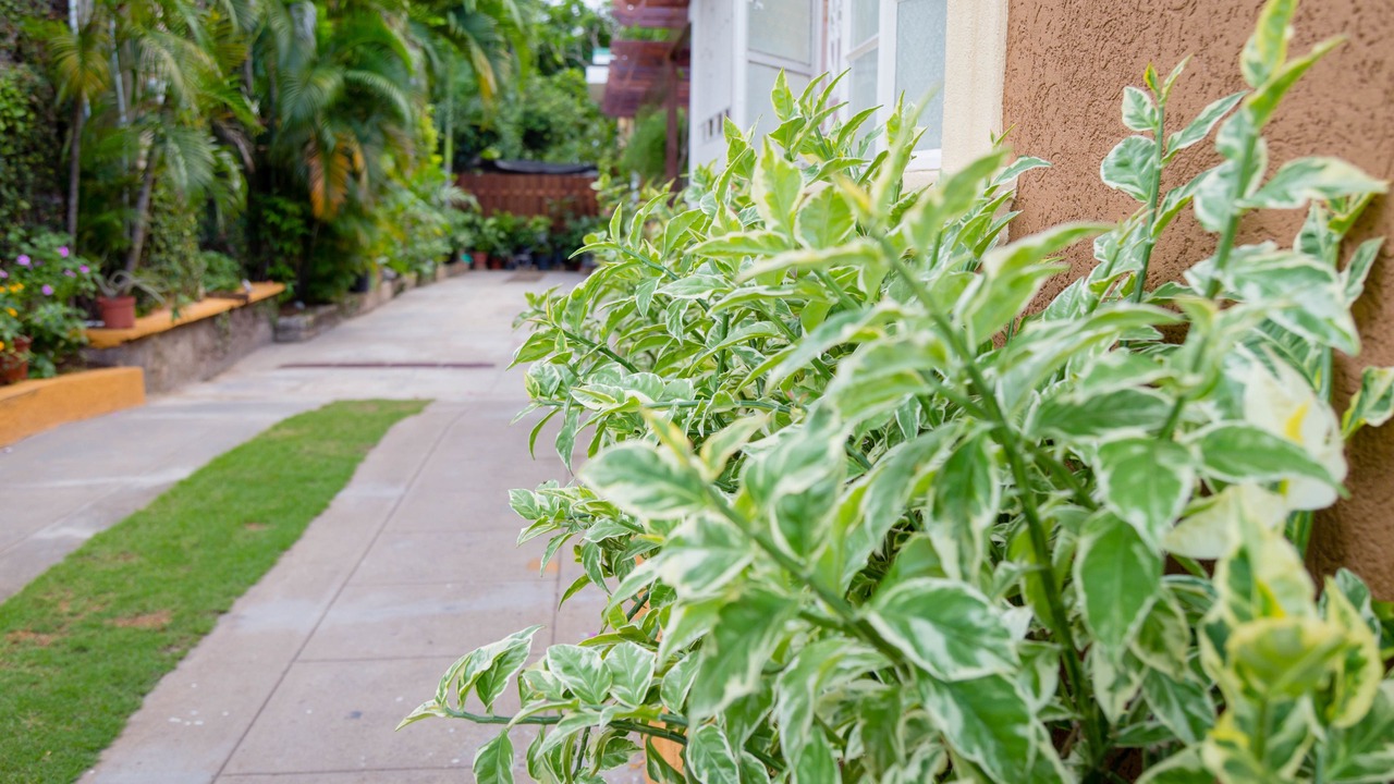 Photo of Outdoor in Molynes Gardens