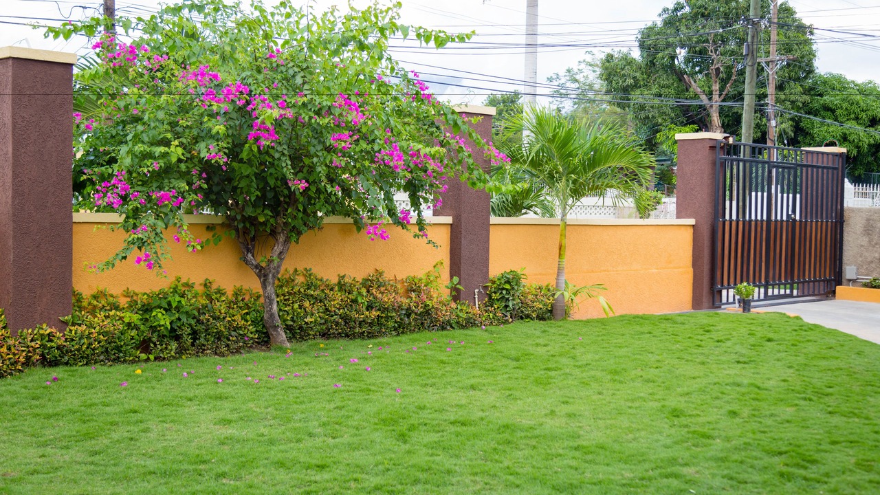 Photo of Outdoor in Molynes Gardens