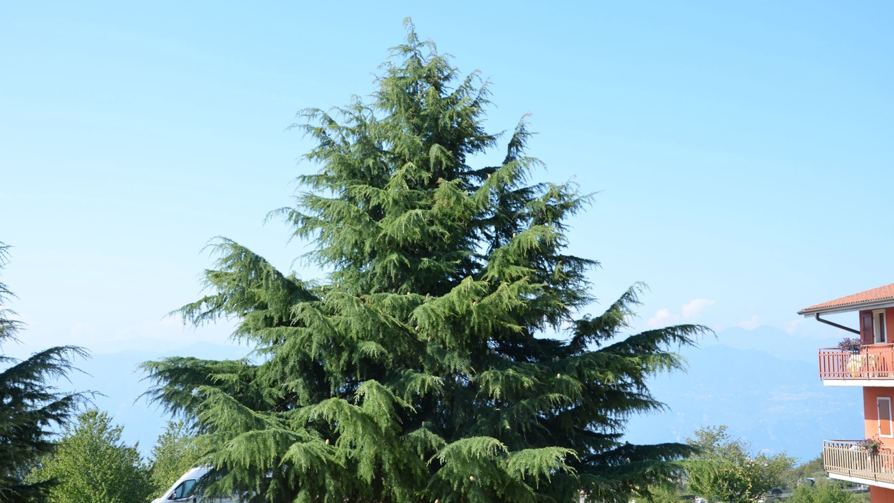 Photo of Outdoor in San Zeno di Montagna
