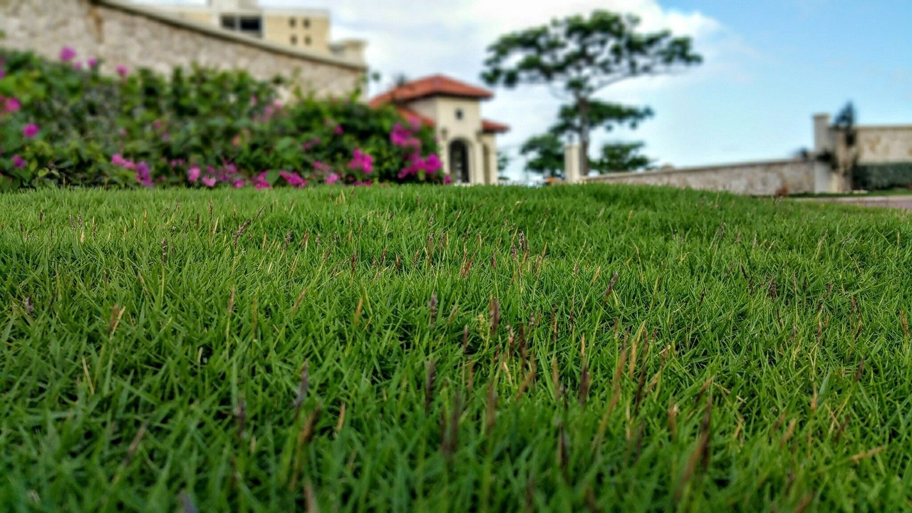 Photo of Outdoor in Portmore