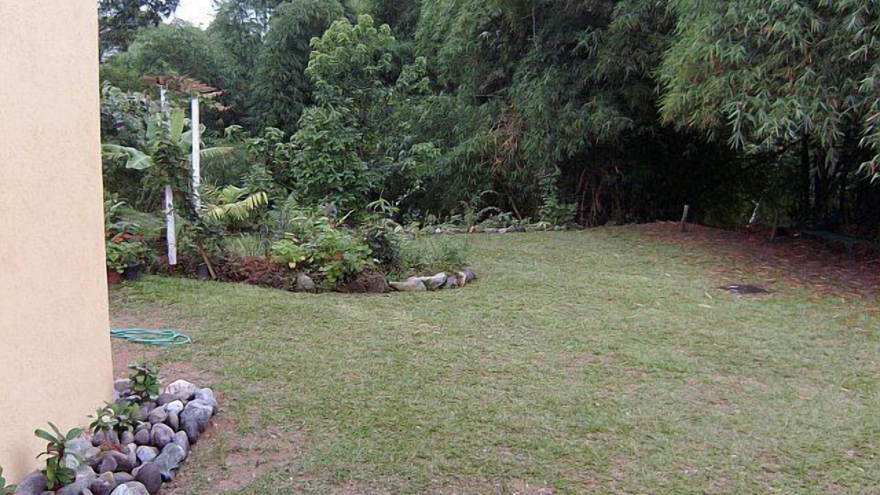 Photo of Outdoor in New Kingston