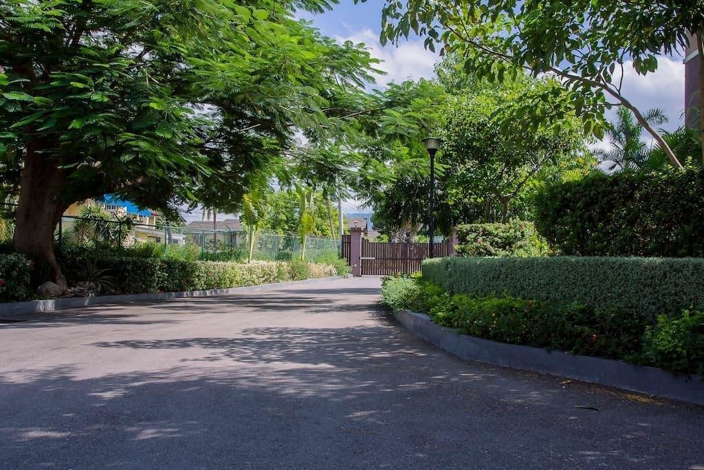 Photo of Outdoor in New Kingston