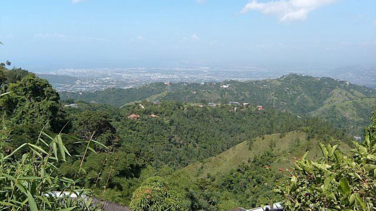 Photo of Others in New Kingston