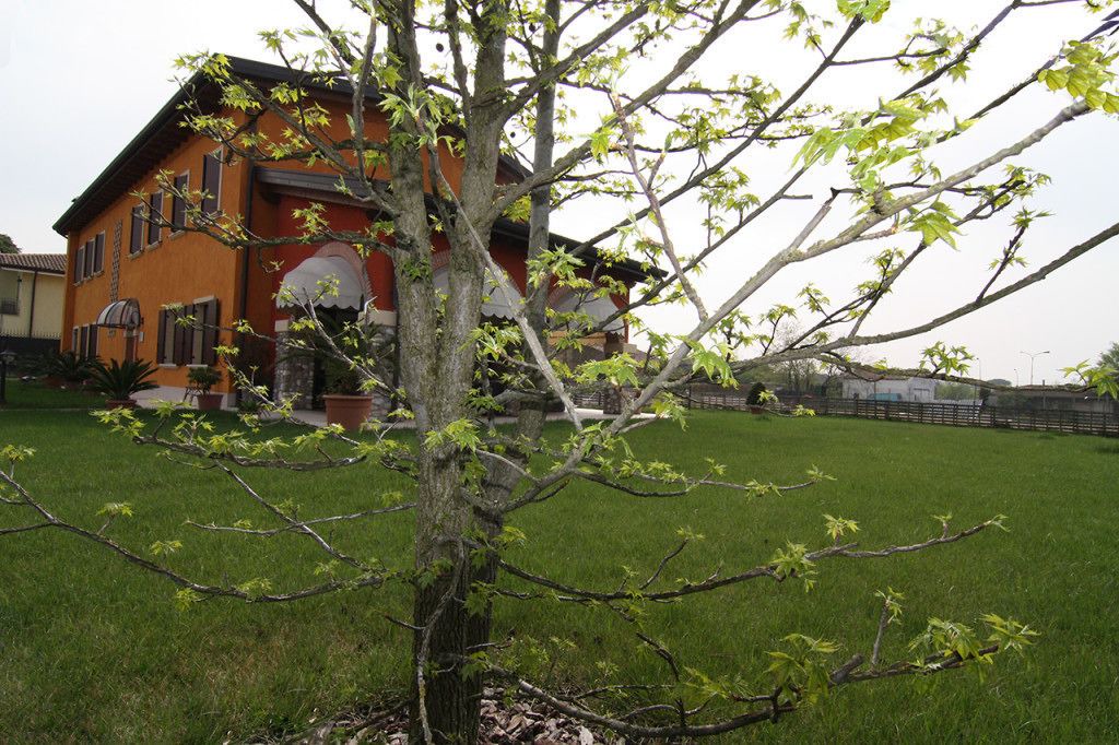 Photo of Outdoor in Ovest