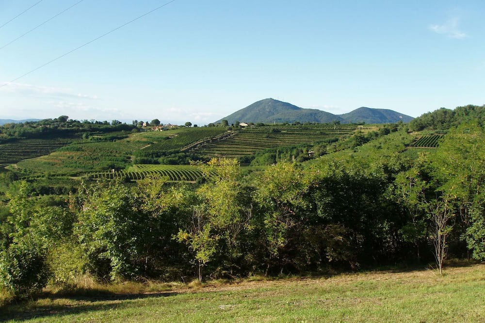 Photo of Others in Valnogaredo