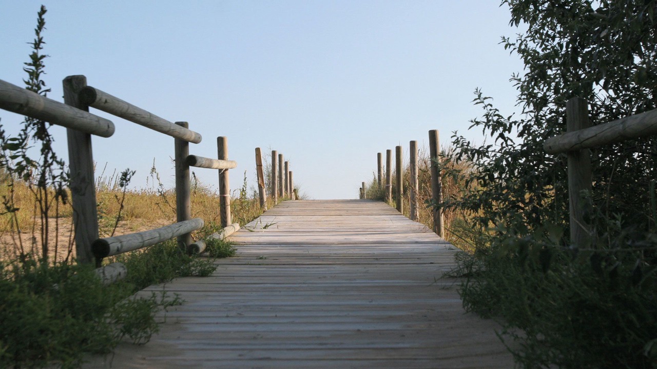 Photo of Outdoor in Jesolo Pineta