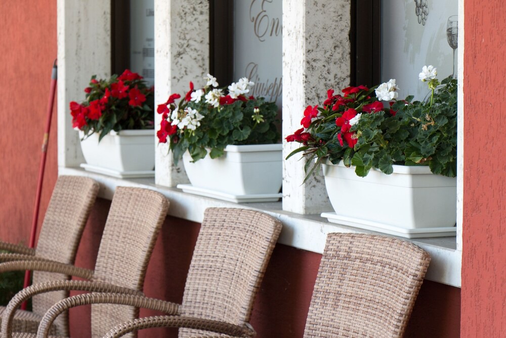 Photo of Outdoor in Castel d'Azzano
