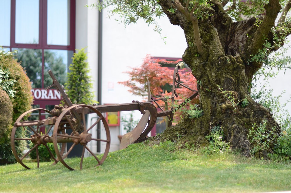 Photo of Outdoor in Nogarole Rocca
