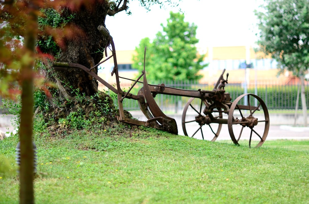 Photo of Outdoor in Nogarole Rocca