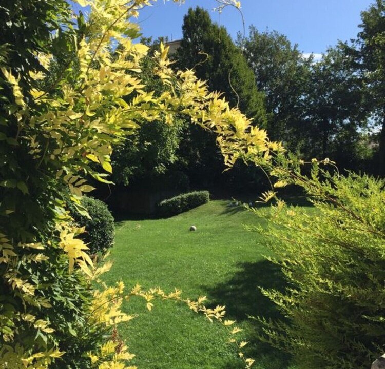 Photo of Outdoor in Sandra
