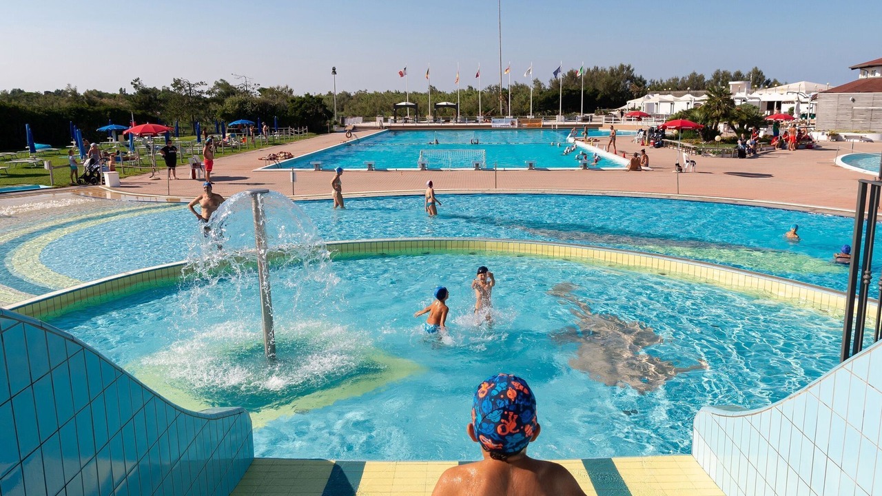 Photo of Others in Isola Albarella
