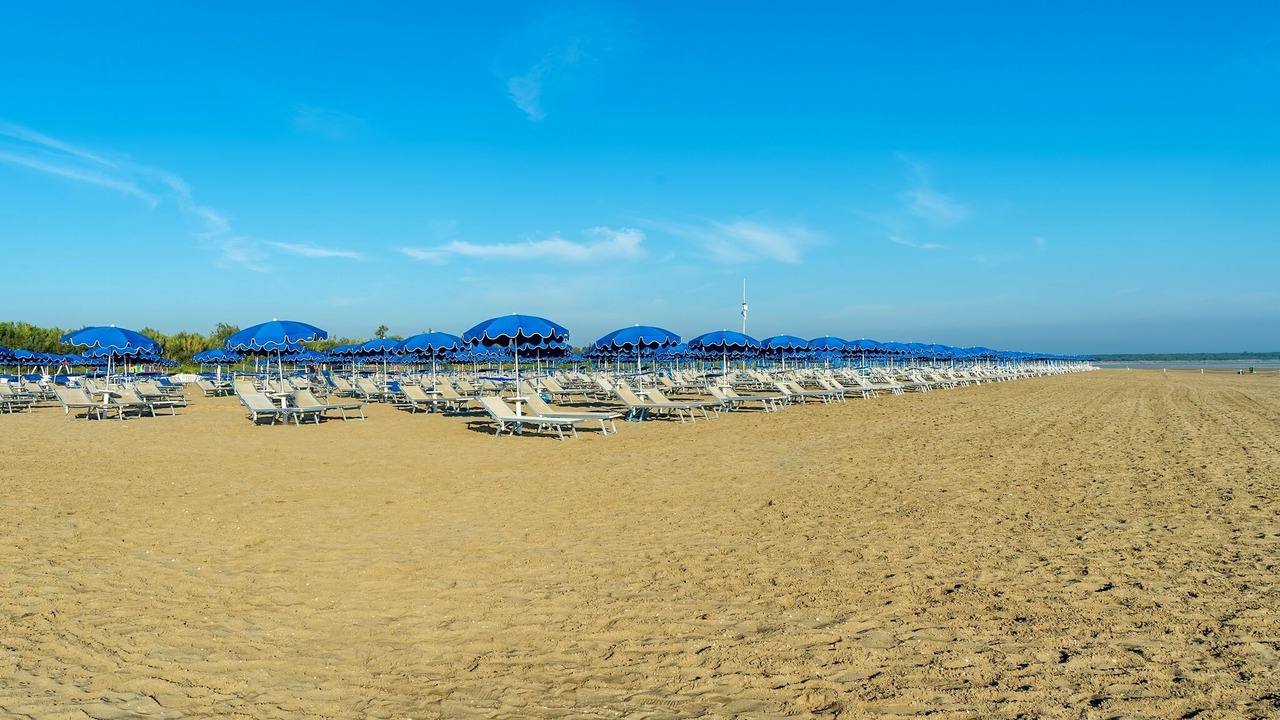 Photo of Others in Isola Albarella