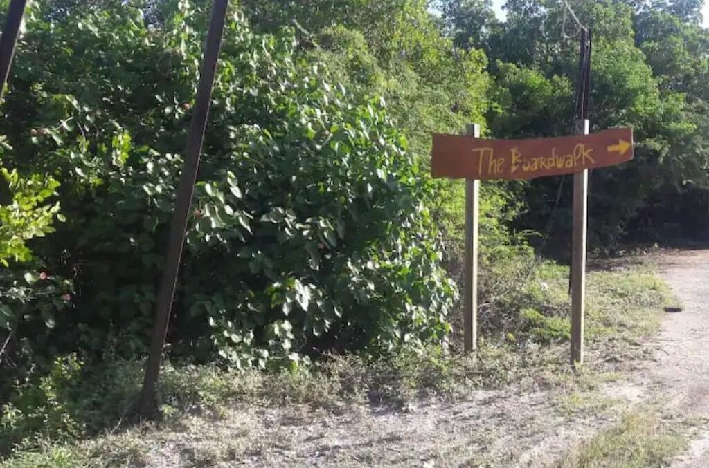 Photo of Outdoor in Spanish Town