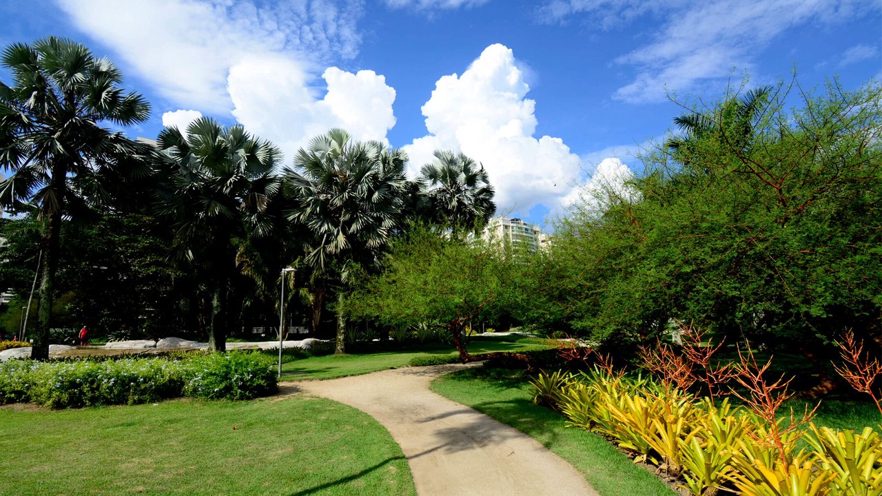 Photo of Outdoor in Jacarepagua