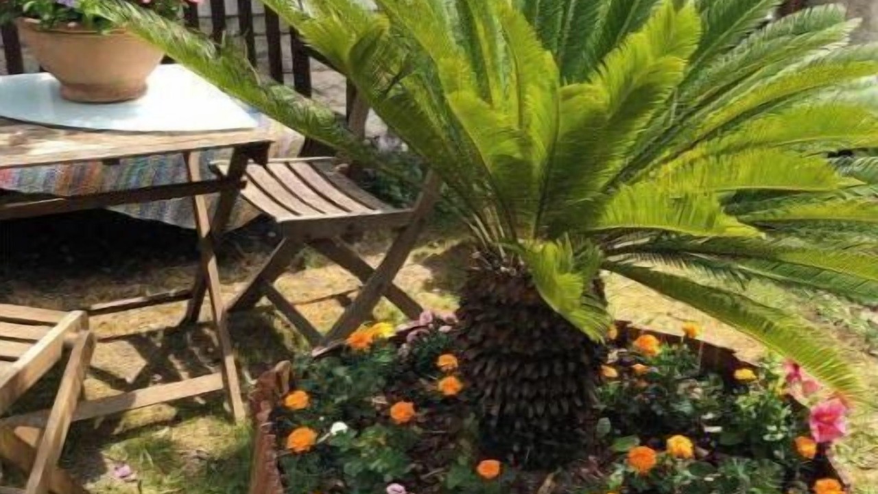 Photo of Outdoor in Pierrefitte-sur-Seine