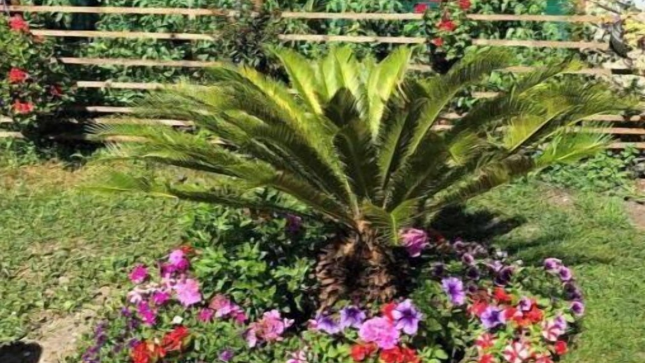 Photo of Outdoor in Pierrefitte-sur-Seine