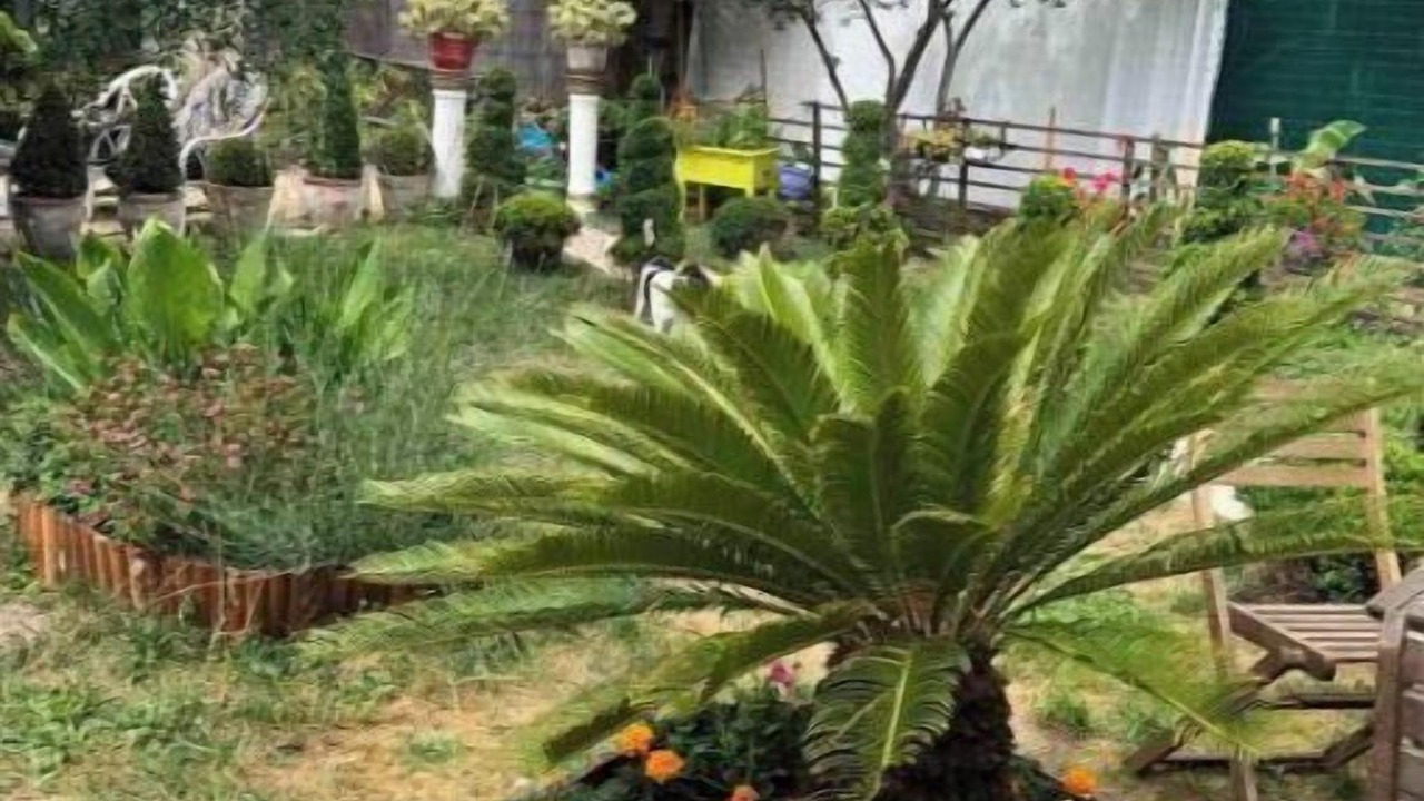 Photo of Outdoor in Pierrefitte-sur-Seine
