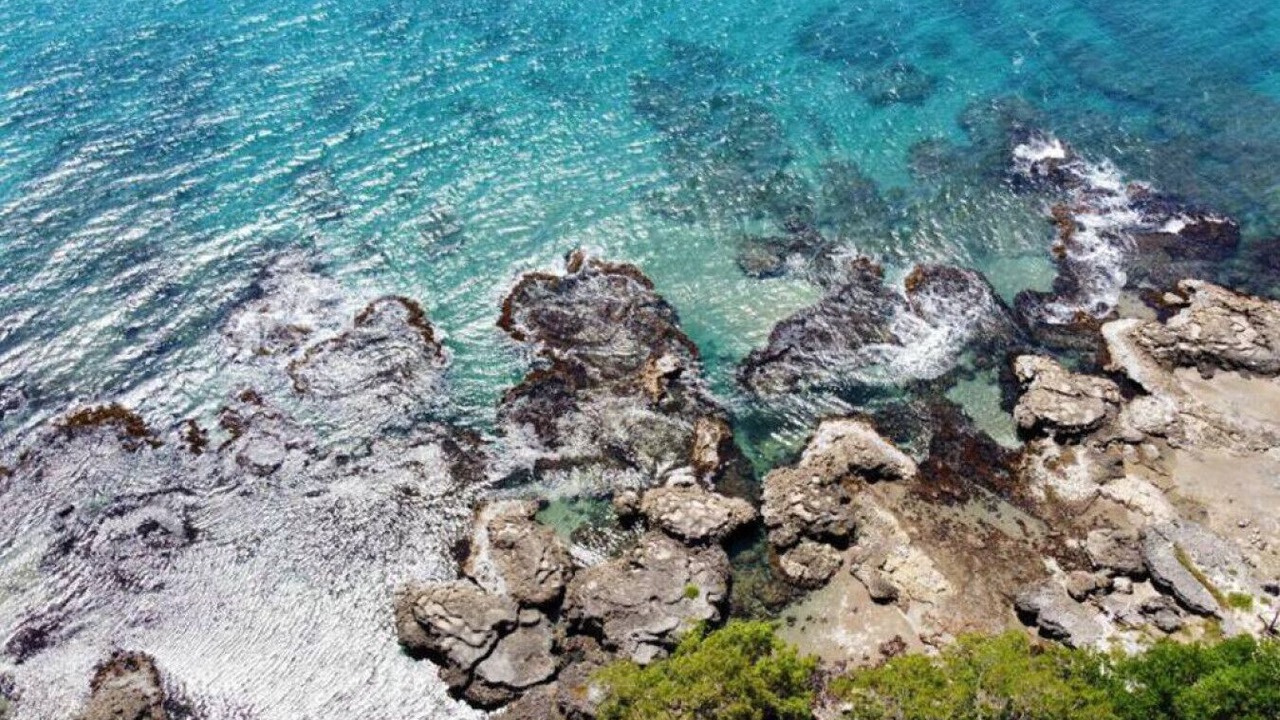 Photo of Outdoor in Treasure Beach