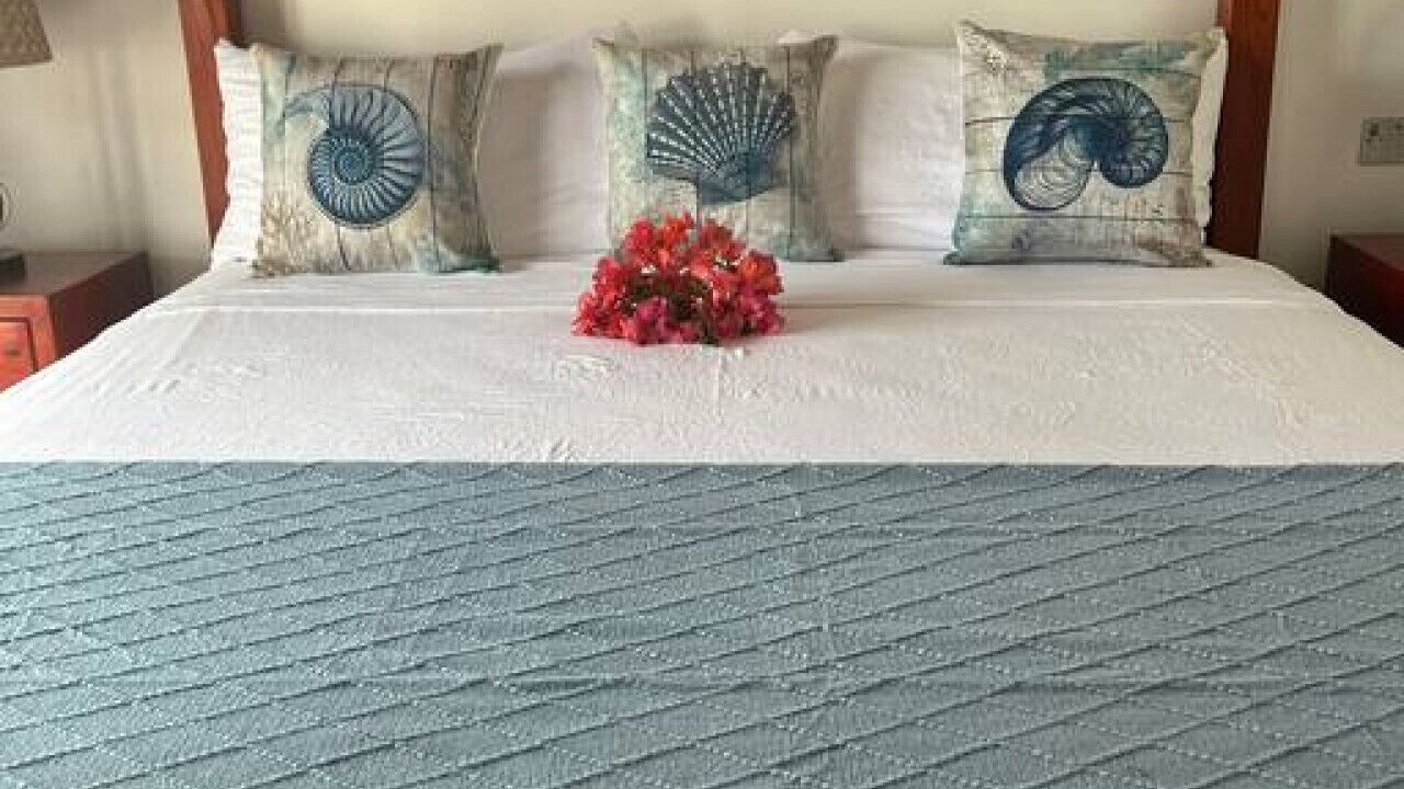 Photo of Bedroom in Treasure Beach