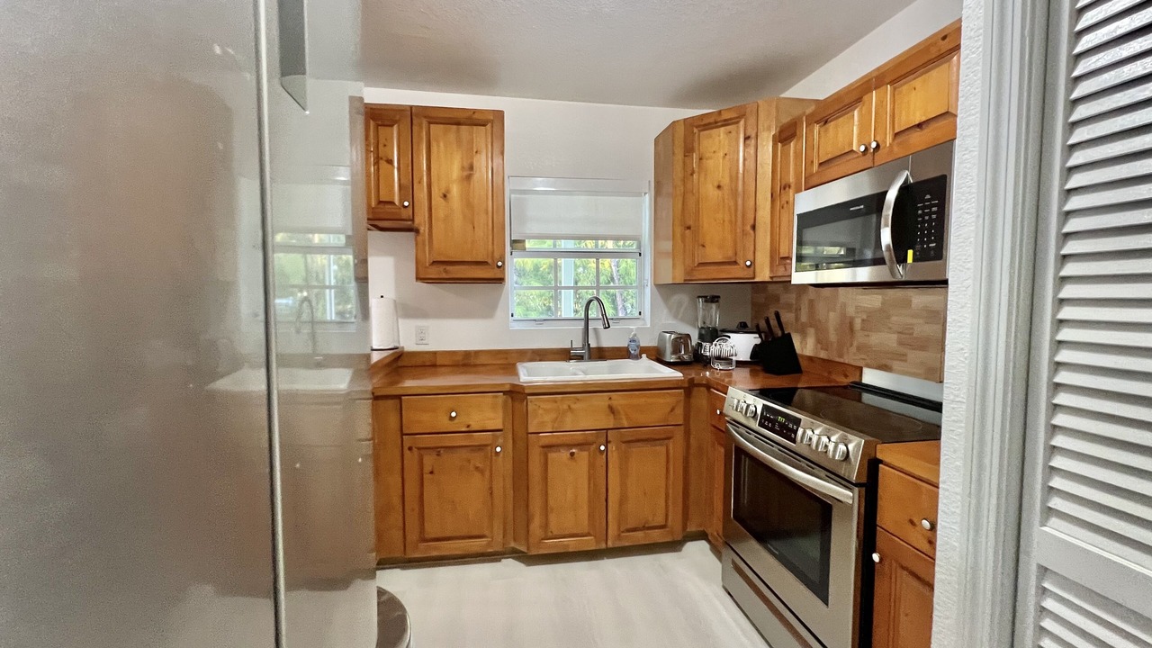 Photo of Kitchen in Alice Town