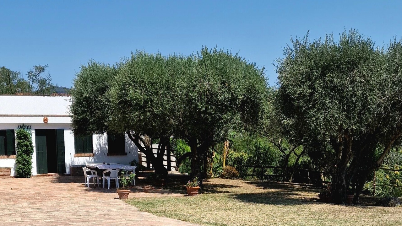 Photo of Outdoor in Baone