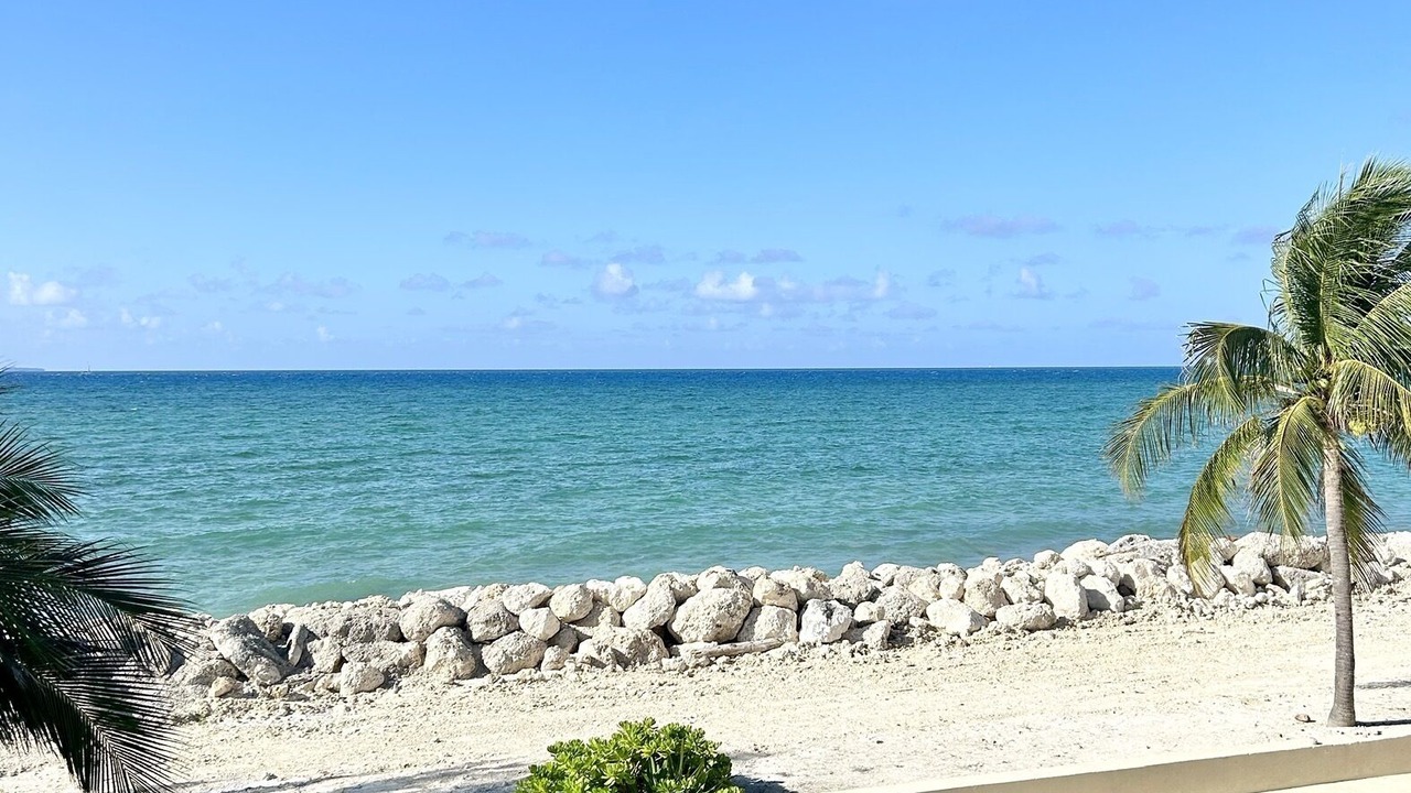 Photo of Others in Bahamas Terrace