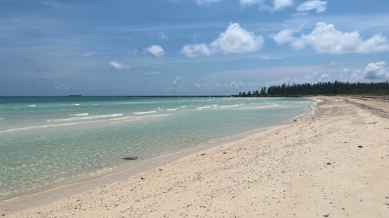 Photo of Others in Bahamas Terrace