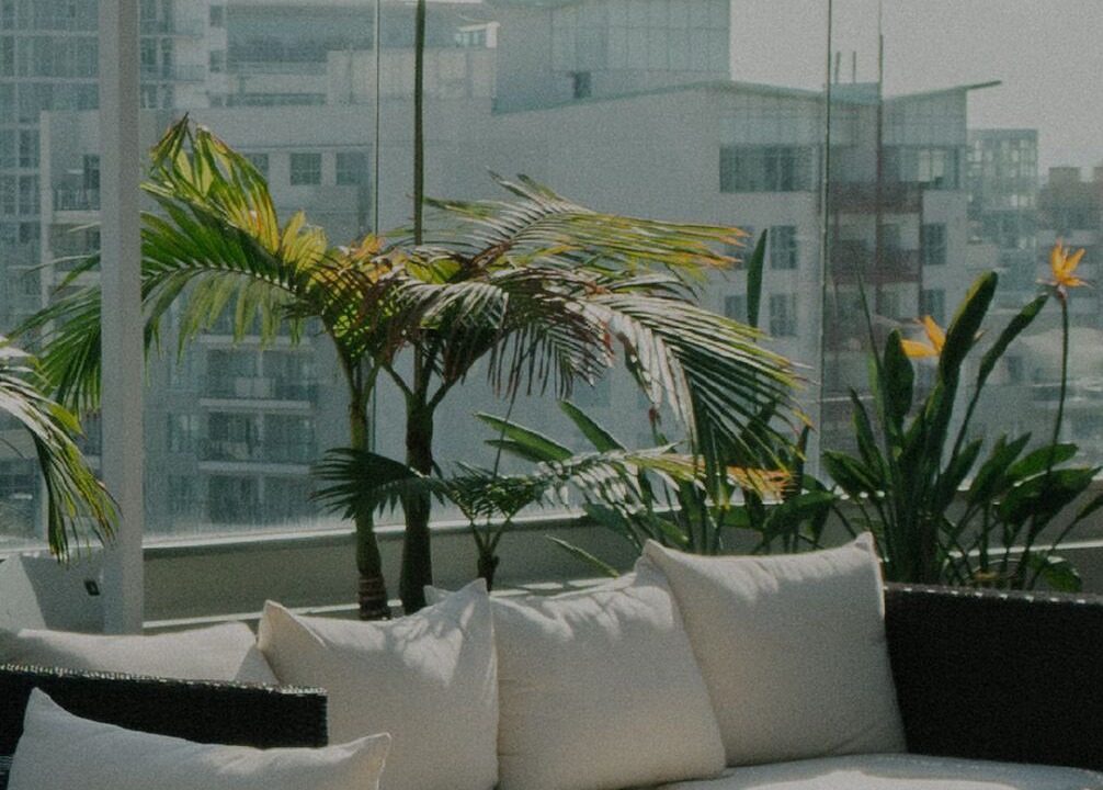 Photo of Outdoor in Tribeca