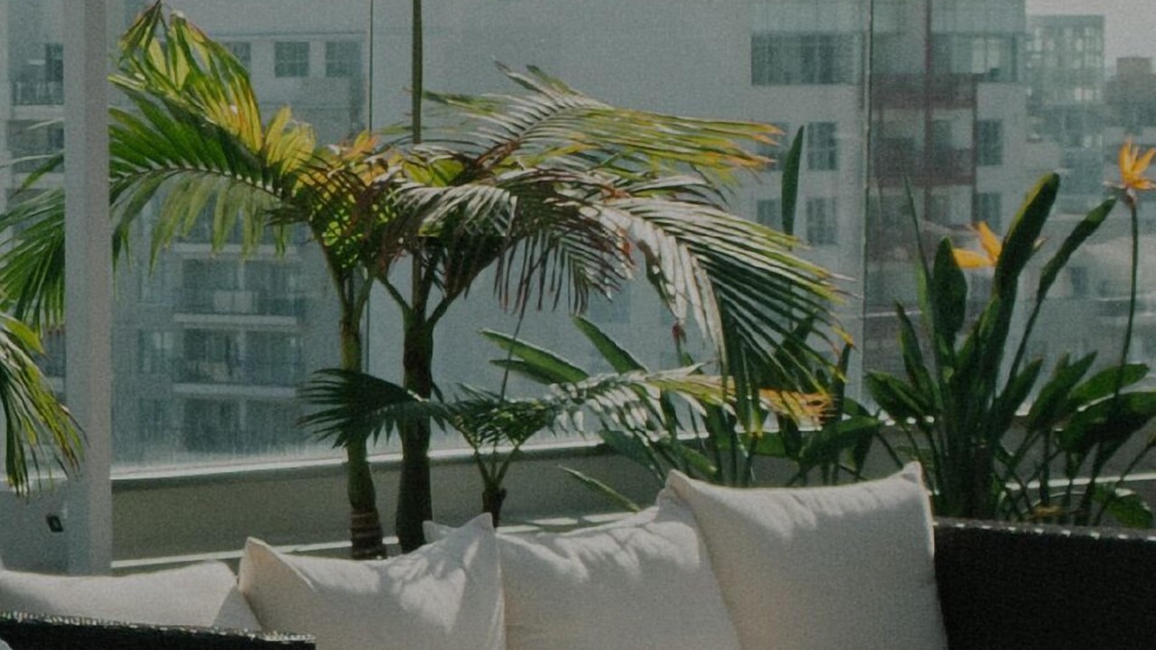 Photo of Outdoor in Gramercy
