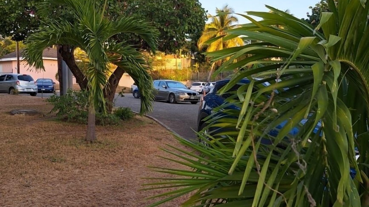 Photo of Outdoor in Camperdown