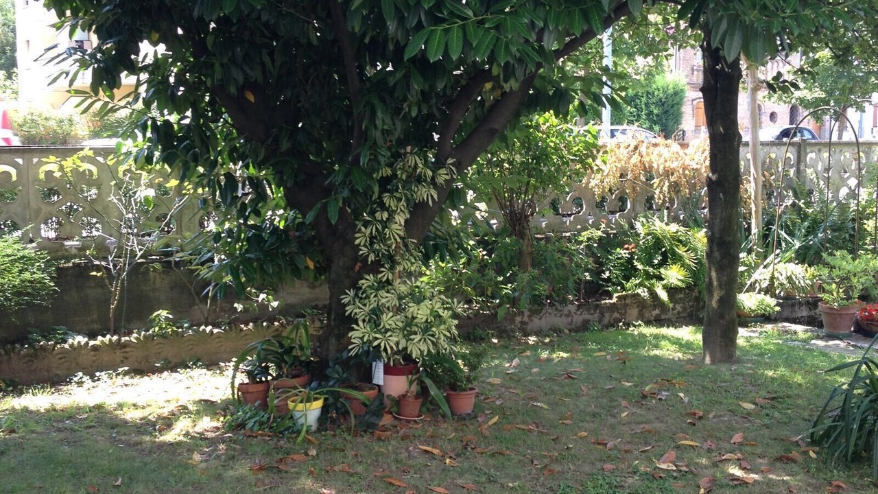 Photo of Outdoor in Dosson