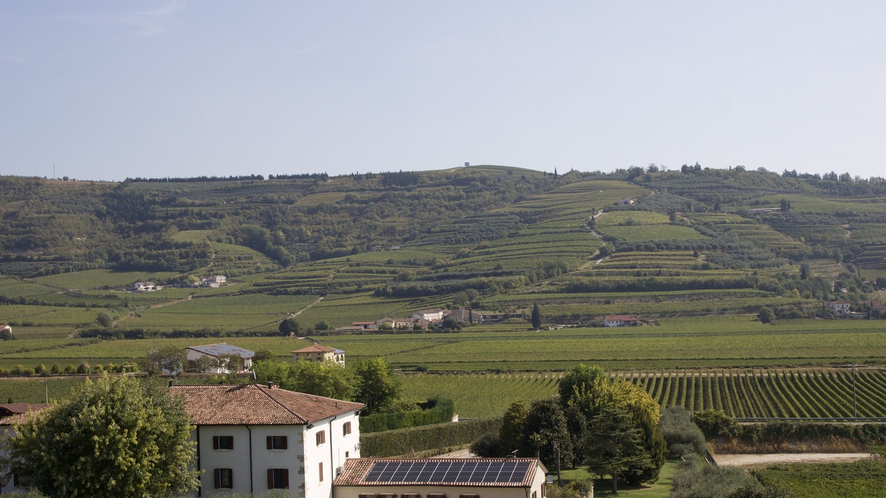 Photo of Outdoor in Lione