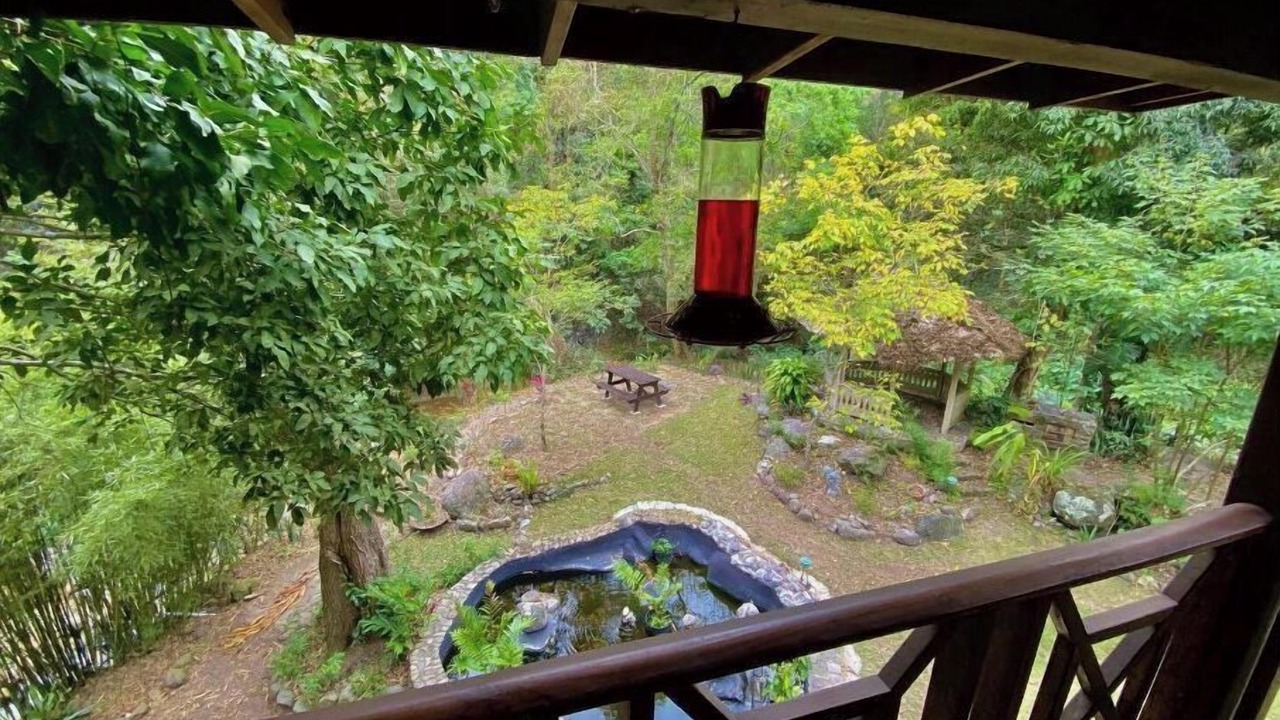 Photo of Outdoor in Kingston