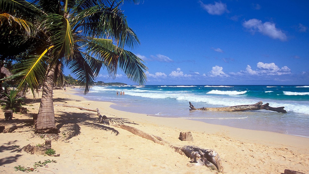 Photo of Others in Long Bay