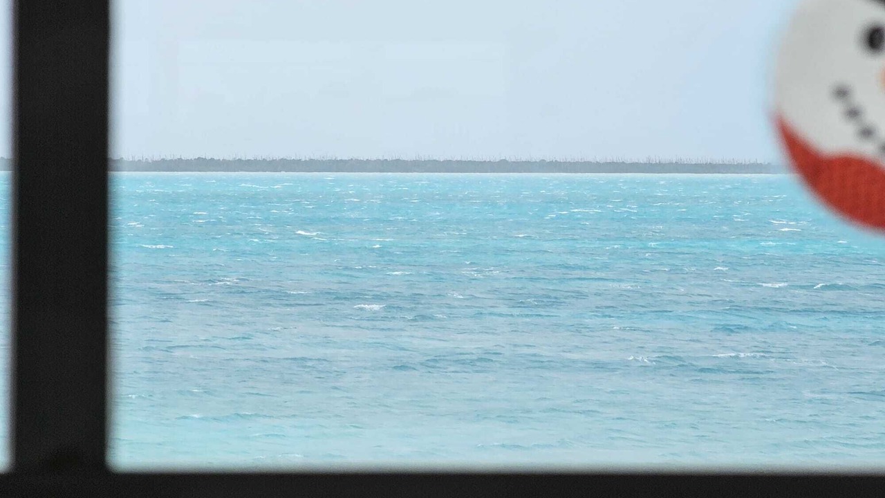 Photo of Others in Bahama Palm Shores