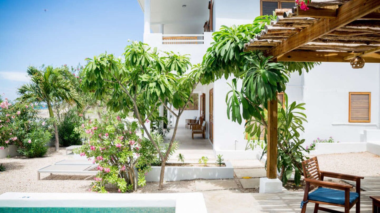 Photo of Outdoor in Treasure Beach