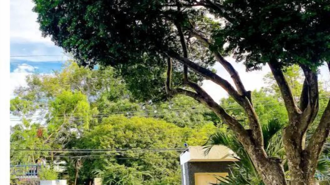 Photo of Outdoor in Saint Andrew