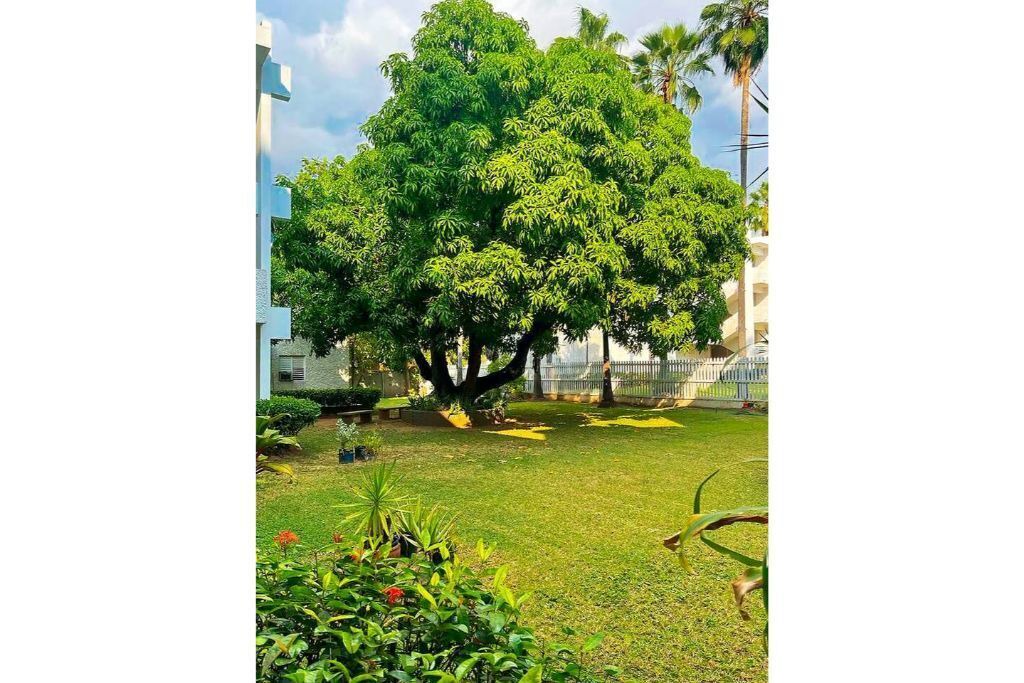 Photo of Outdoor in Saint Andrew