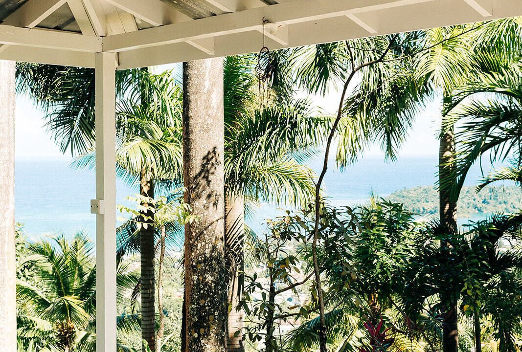 Photo of Outdoor in Port Antonio