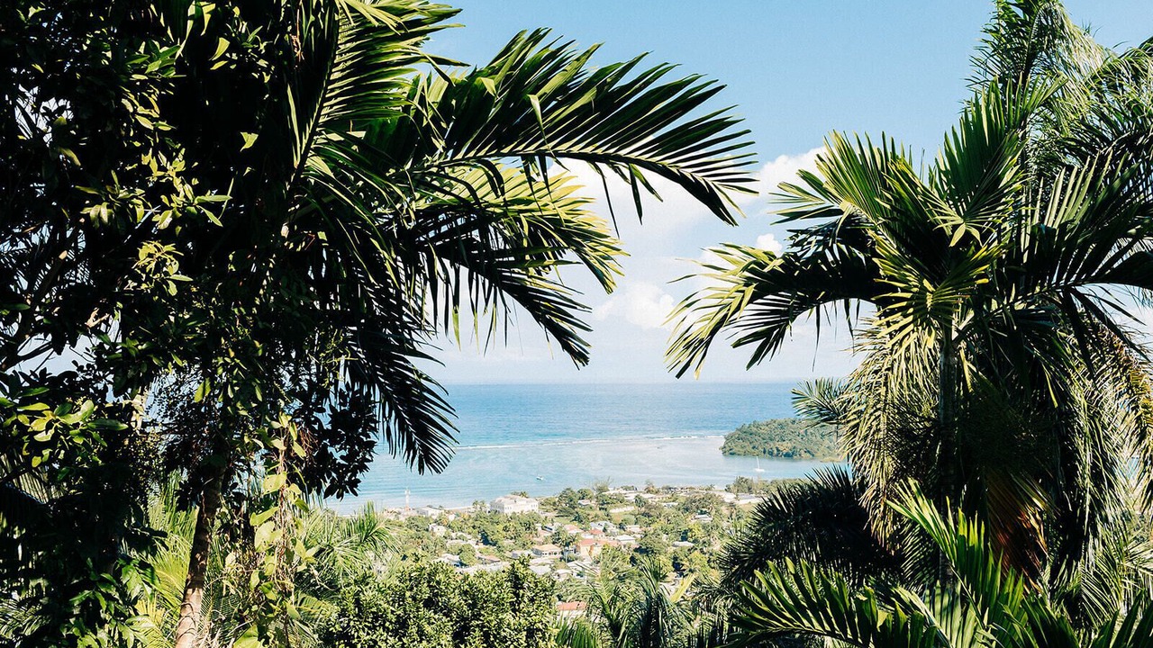 Photo of Others in Port Antonio