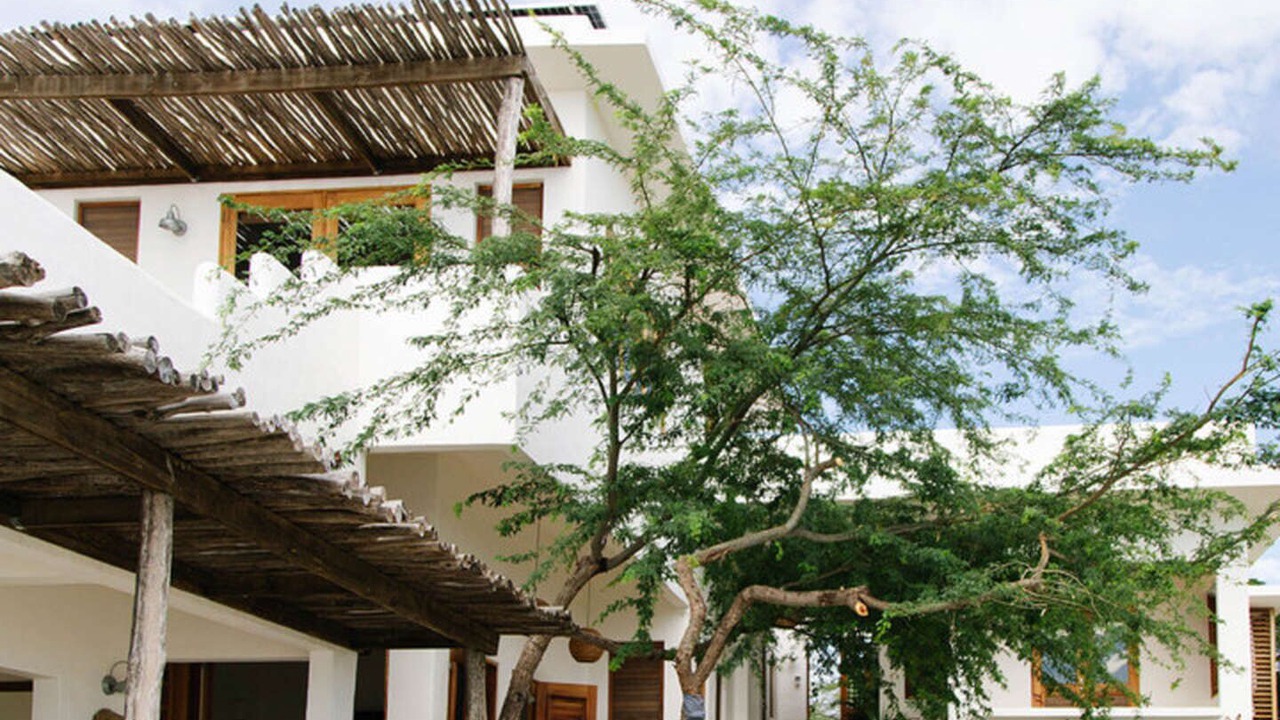 Photo of Outdoor in Treasure Beach
