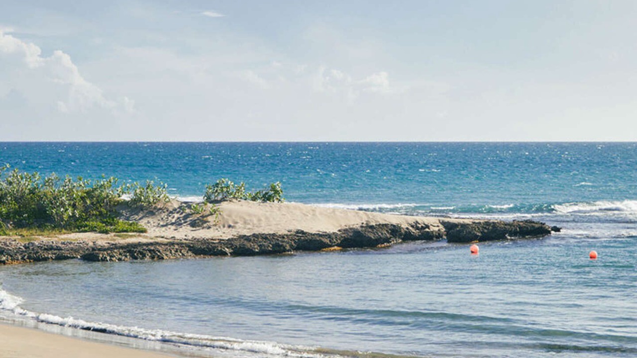 Photo of Others in Treasure Beach