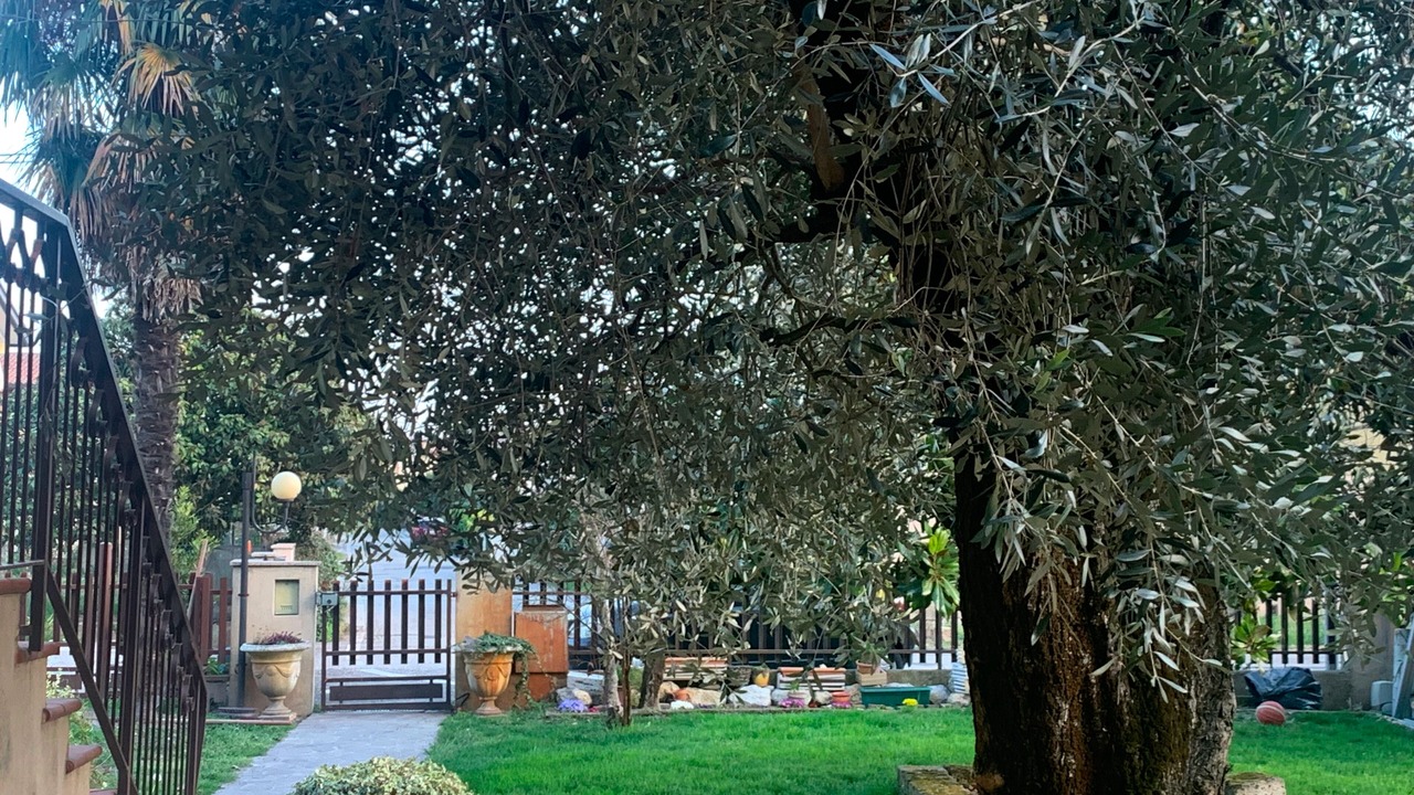 Photo of Outdoor in Oderzo