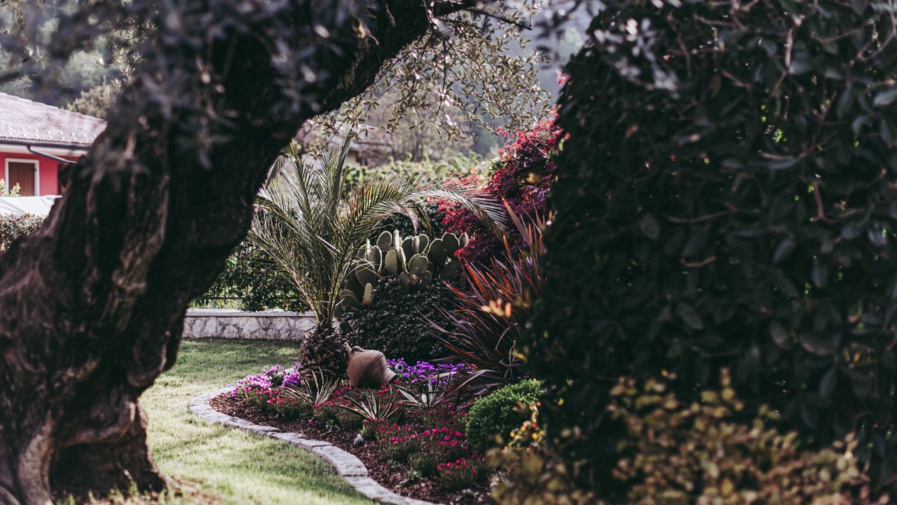 Photo of Outdoor in Badia Calavena
