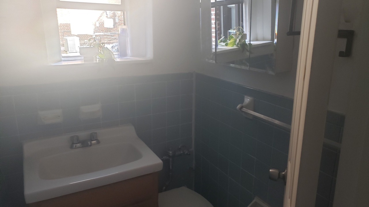 Photo of Bathroom in Ditmas Park