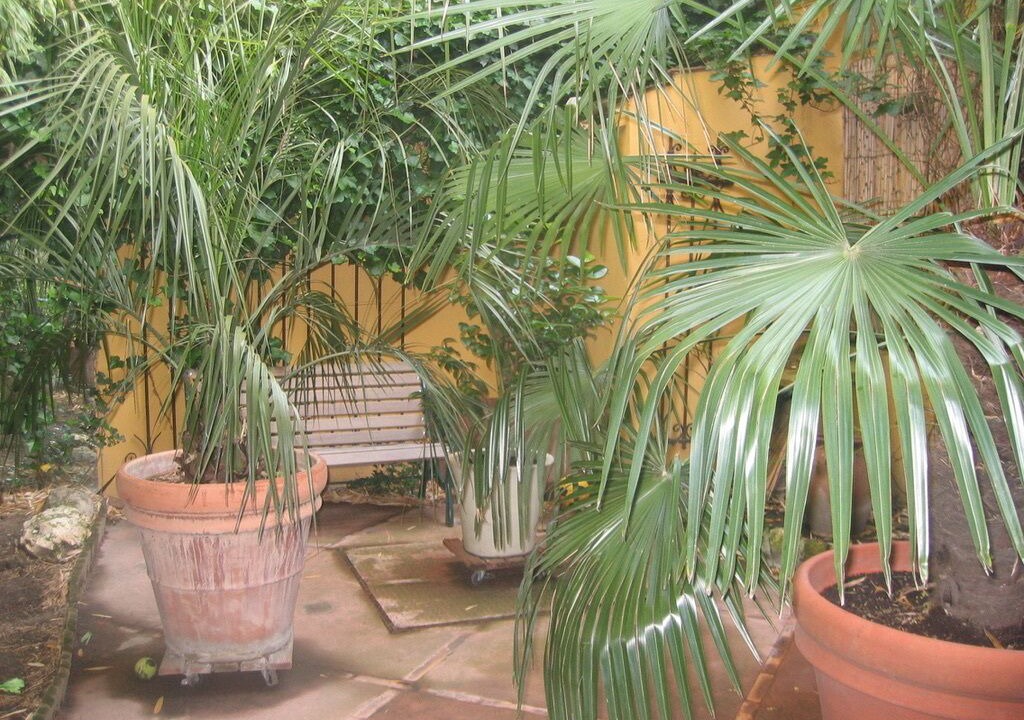 Photo of Outdoor in Cachan
