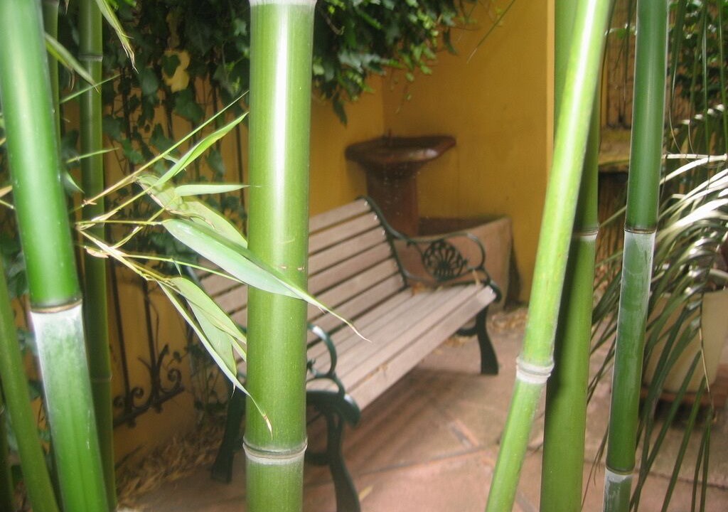 Photo of Patio Balcony in Cachan